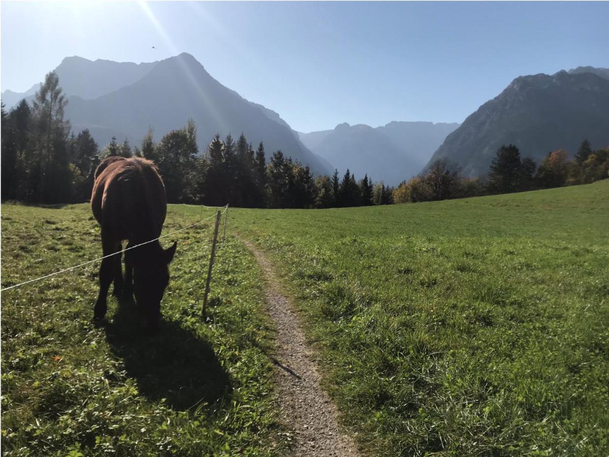 Villa Nussbaum Golling an der Salzach Exteriör bild